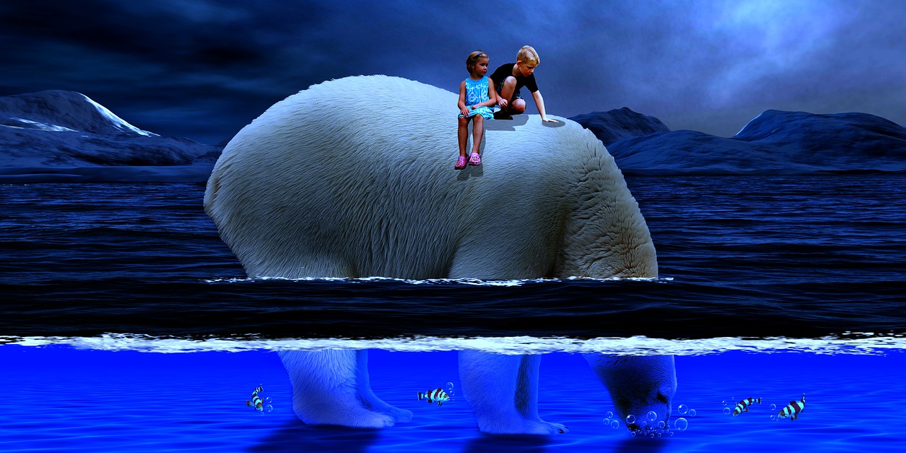 polar bear sea children free photo