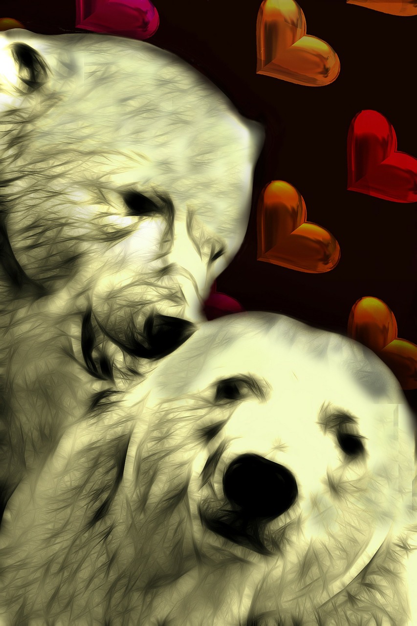 polar bear heart background free photo