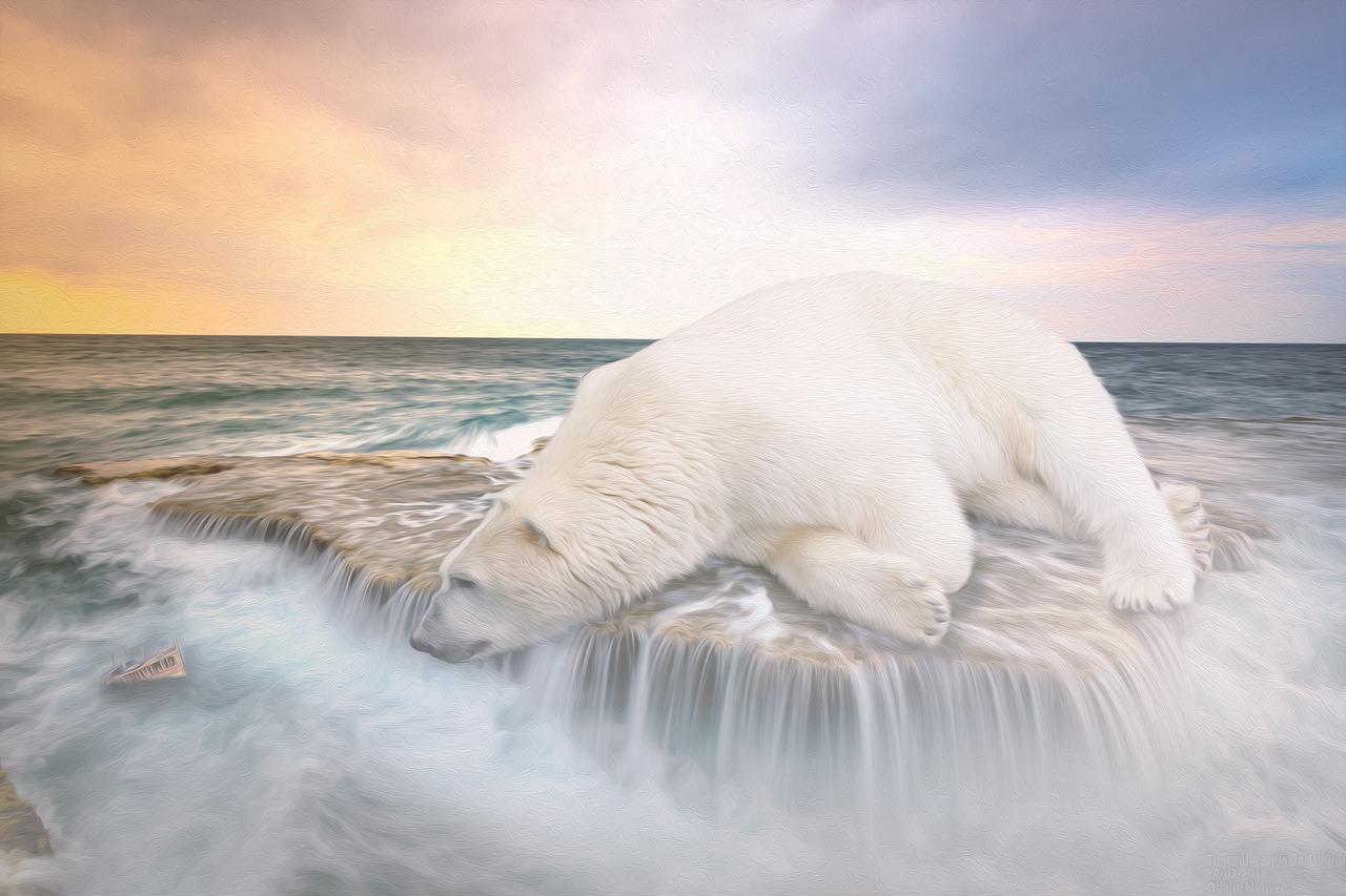 polar bear ship waterfall free photo