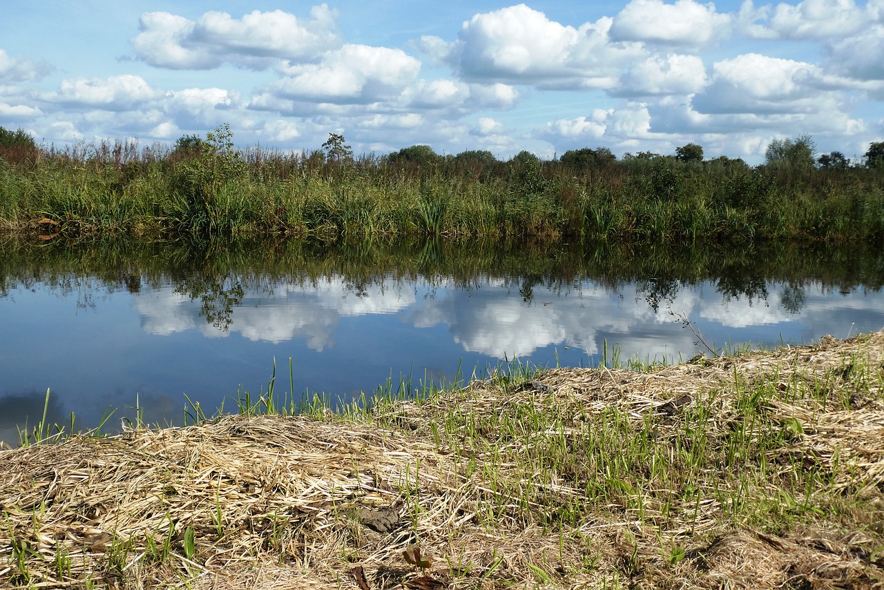 polder  reflection  background free photo