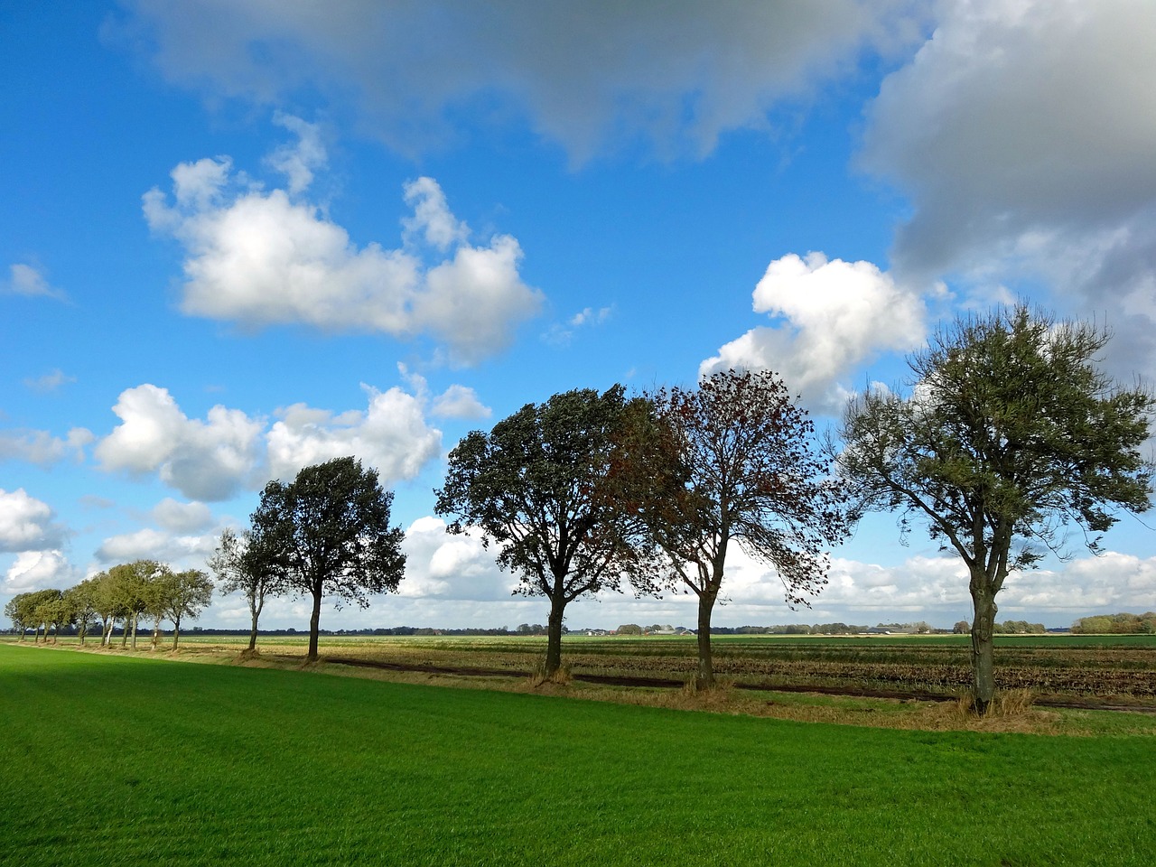 polder halfweg landscape free photo