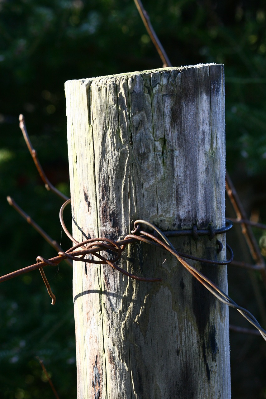 pole wood wire free photo