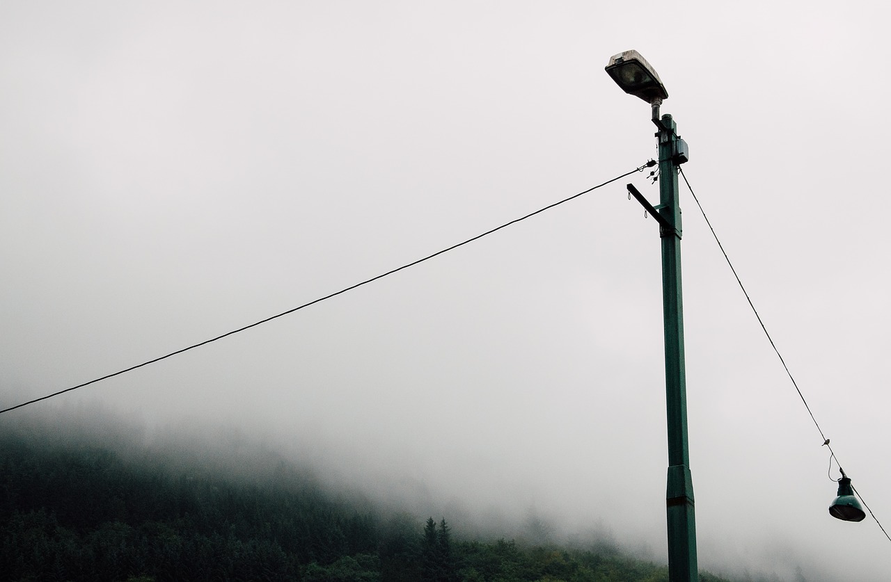 pole wire trees free photo