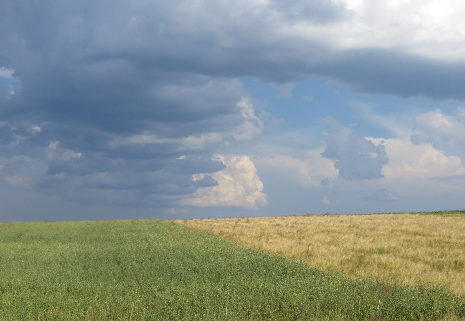 field summer sky free photo