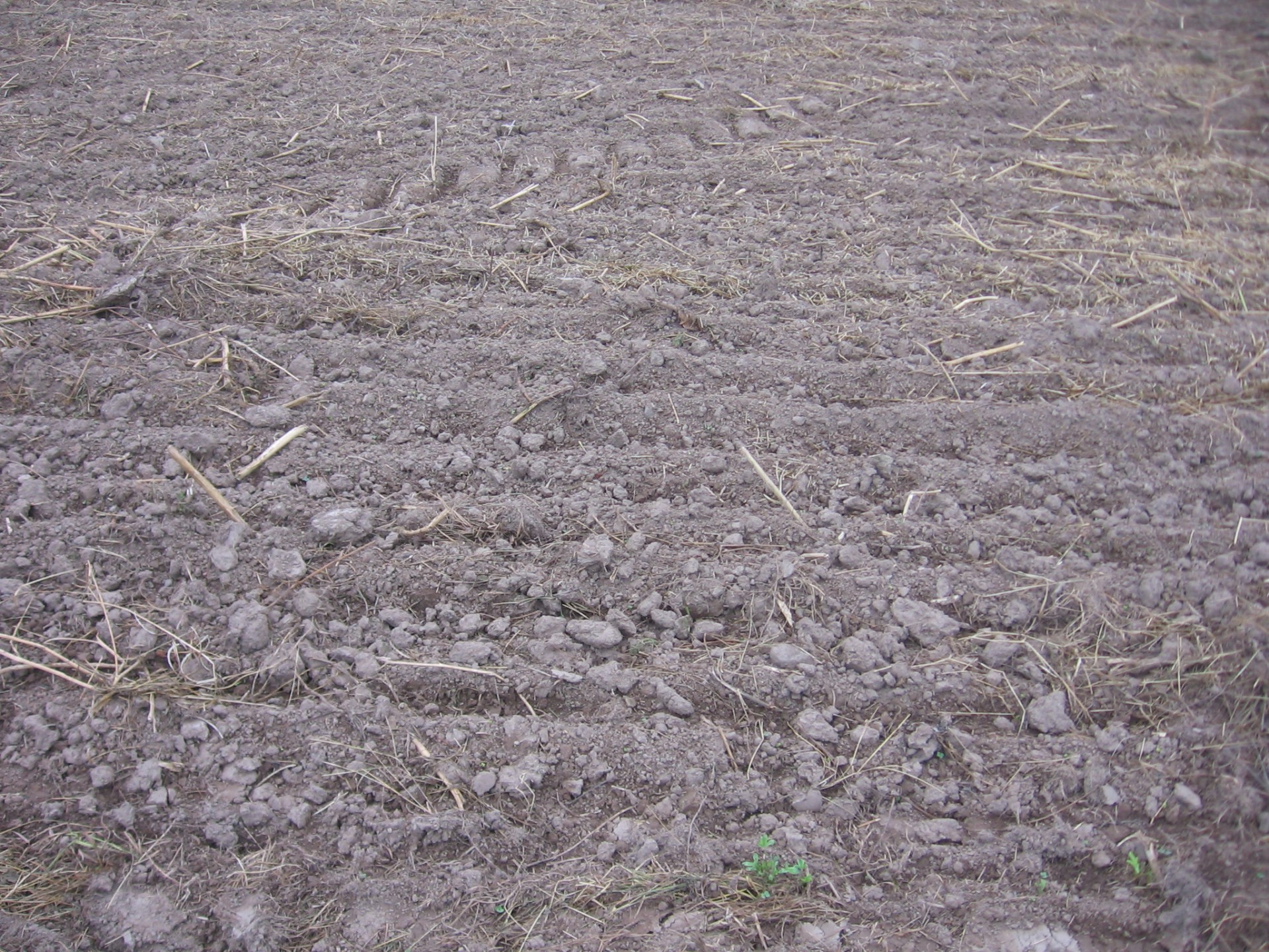 field earth autumn free photo