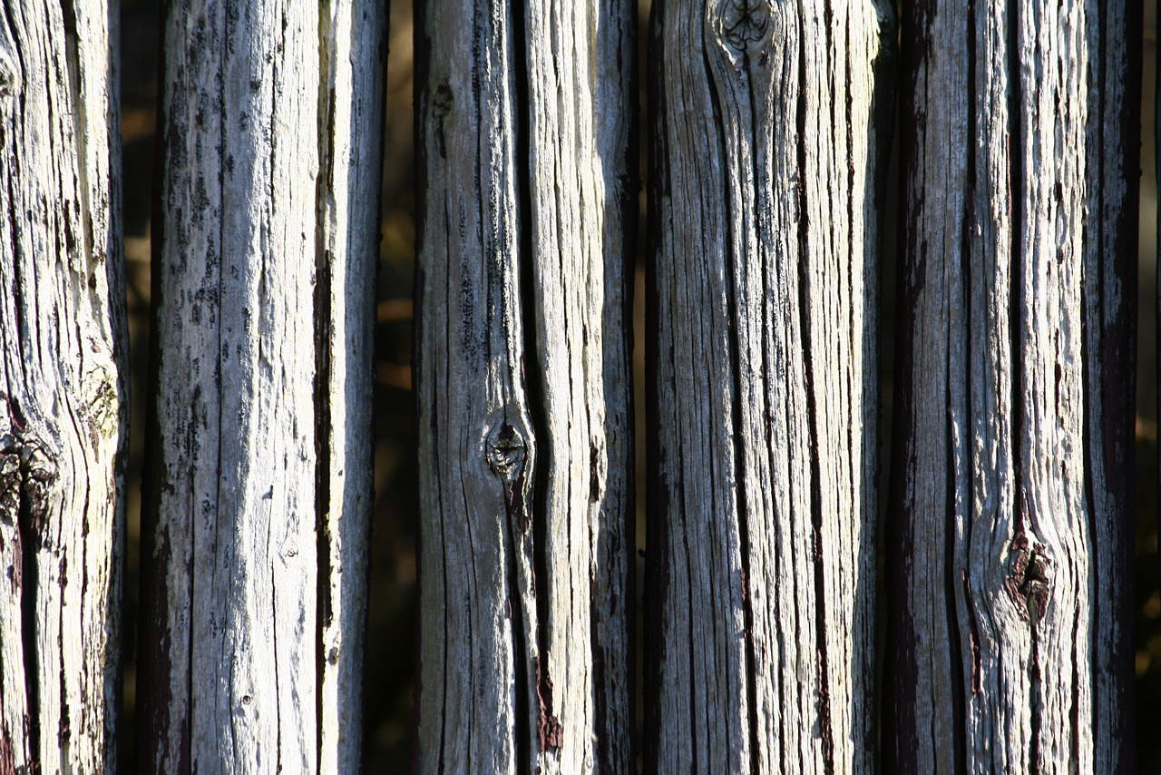 poles wood fence free photo