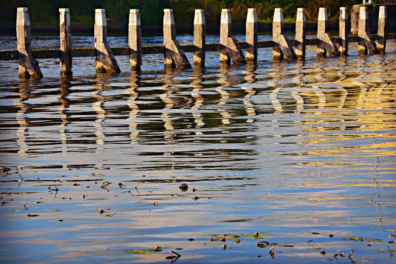 poles  water  lake free photo