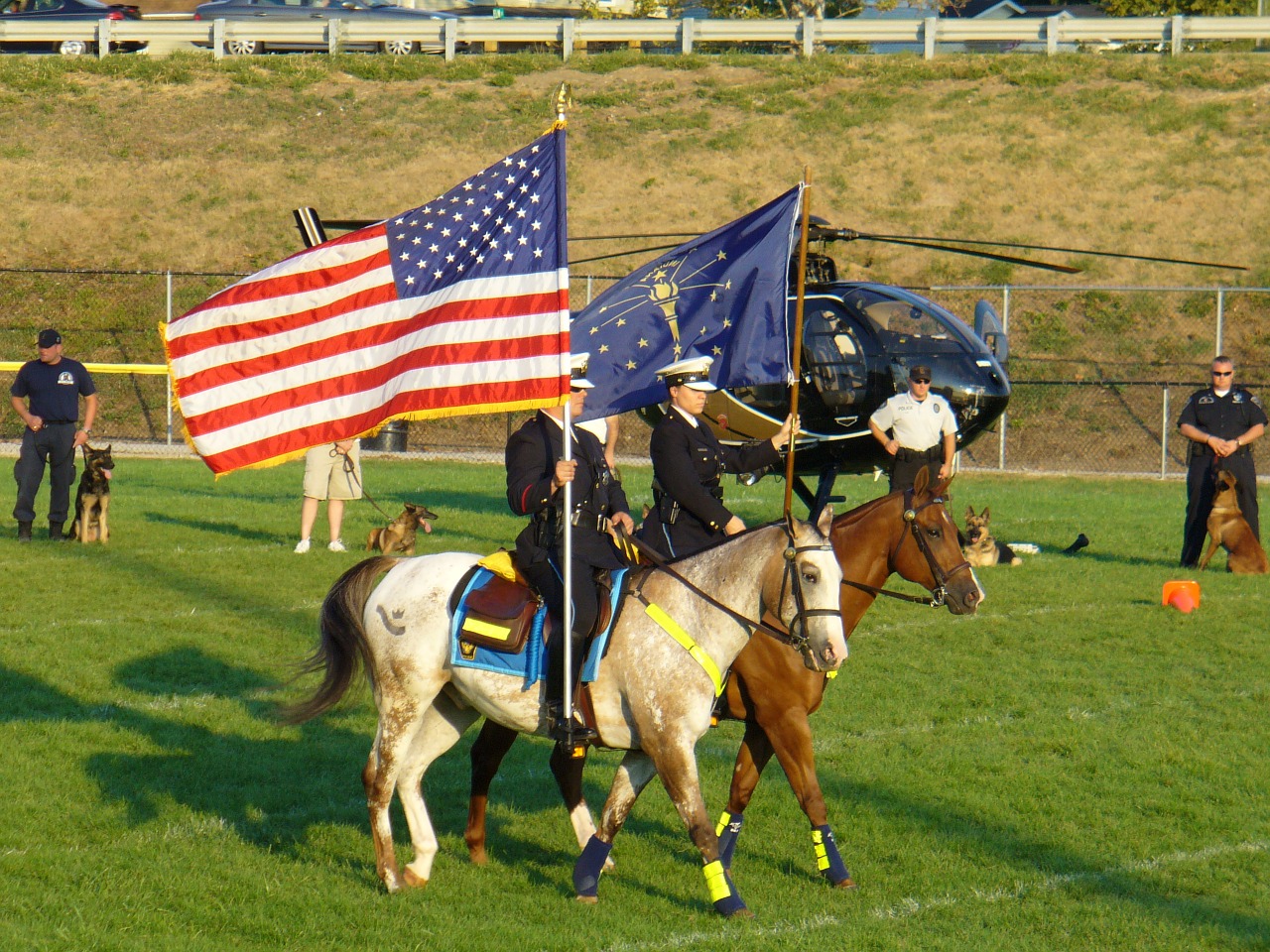 police cavalry k-9 show free photo