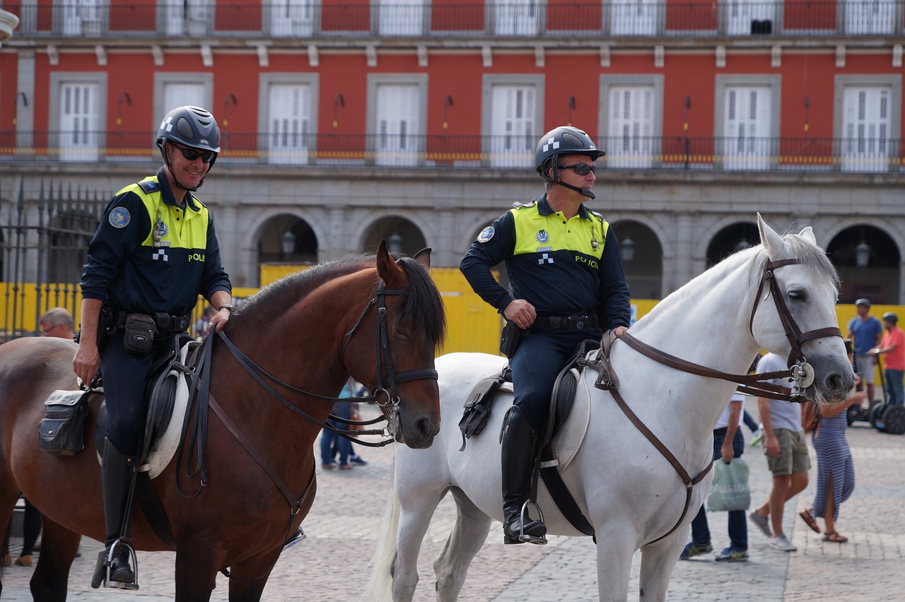 mounted police policeman horse free photo