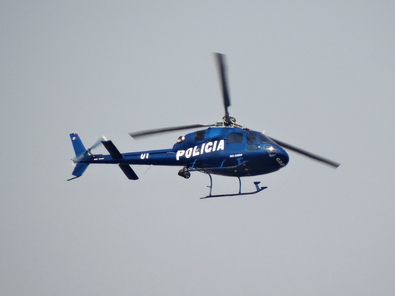 police transport aircraft free photo
