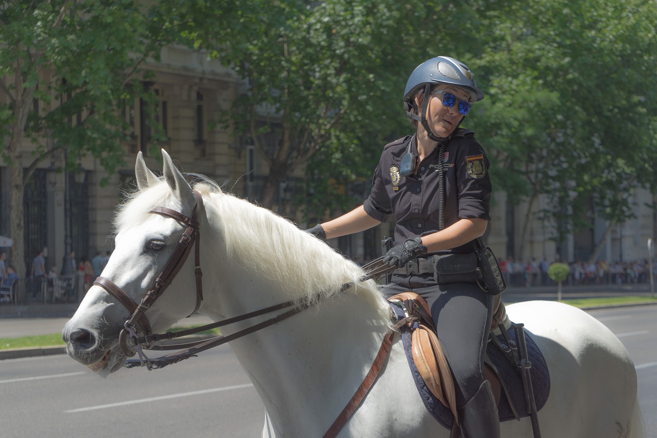 police horse mount free photo