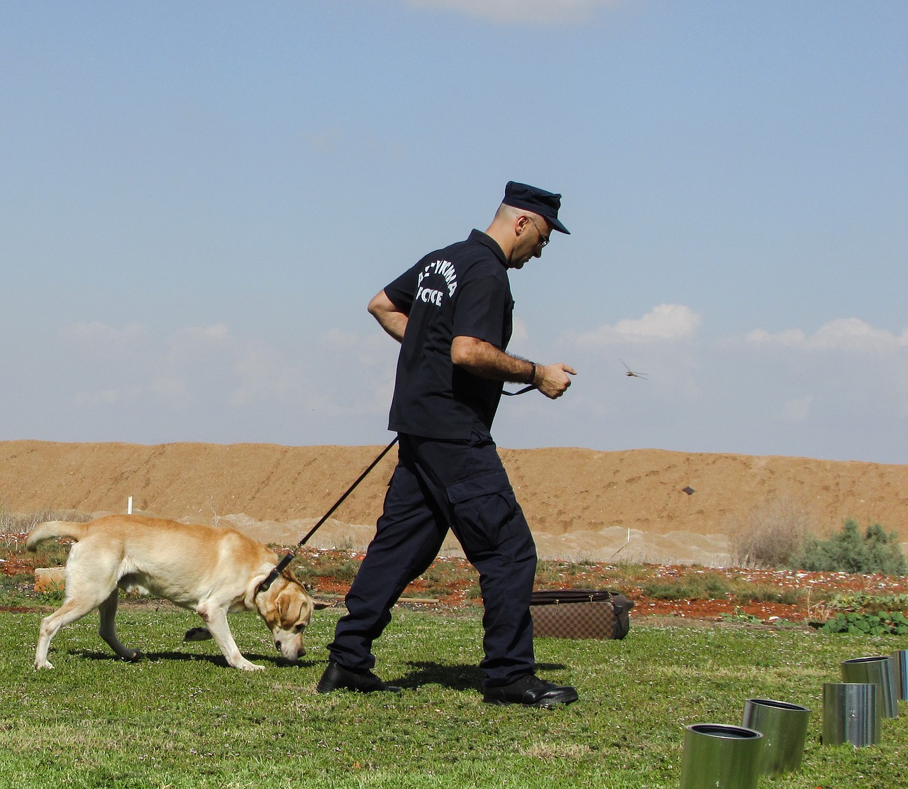 police dog training dog free photo