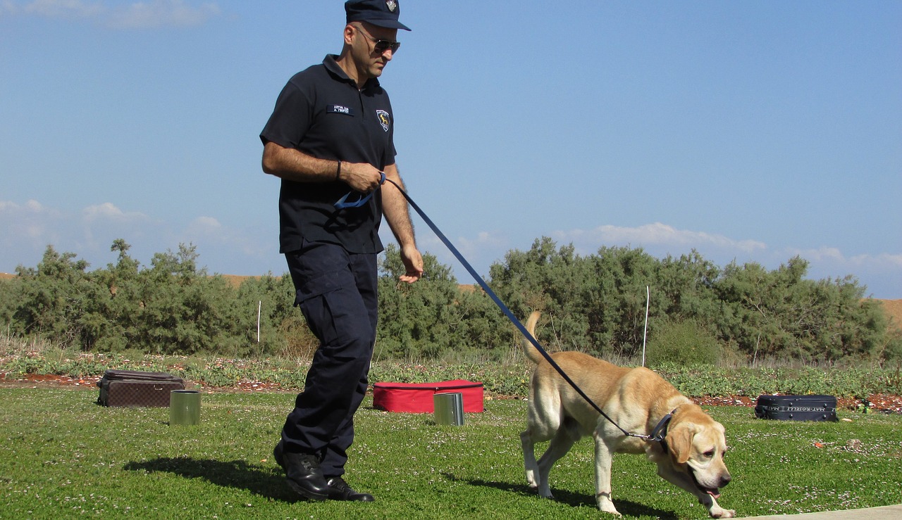 police dog training dog free photo