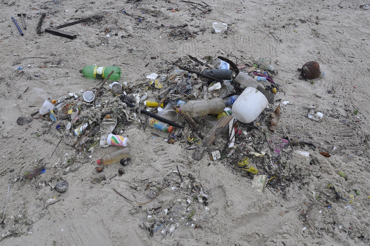 pollution trash beach free photo