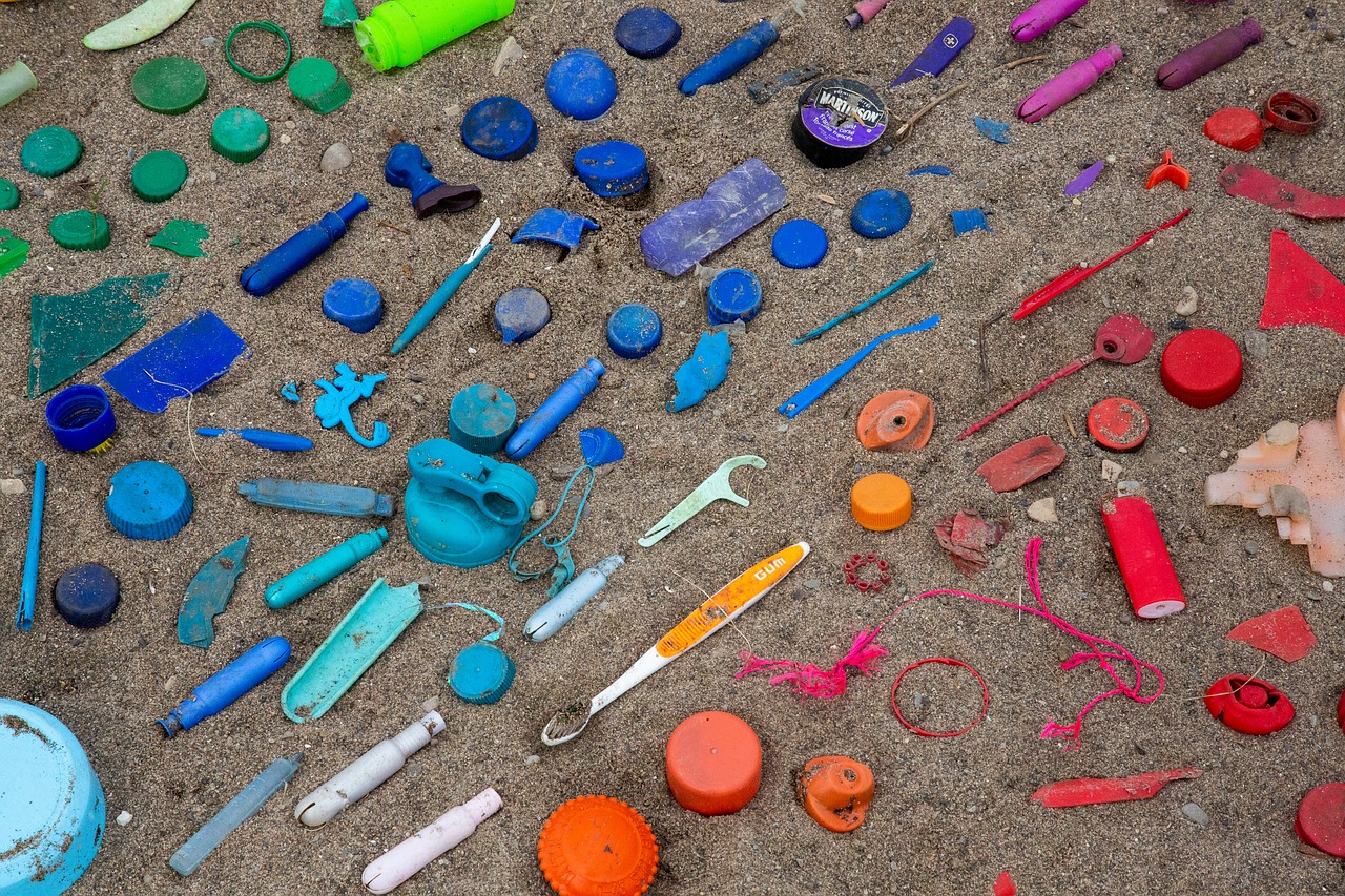 pollution  plastic  plastic waste free photo