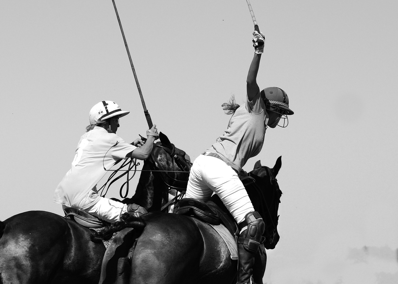 polo horse sport free photo