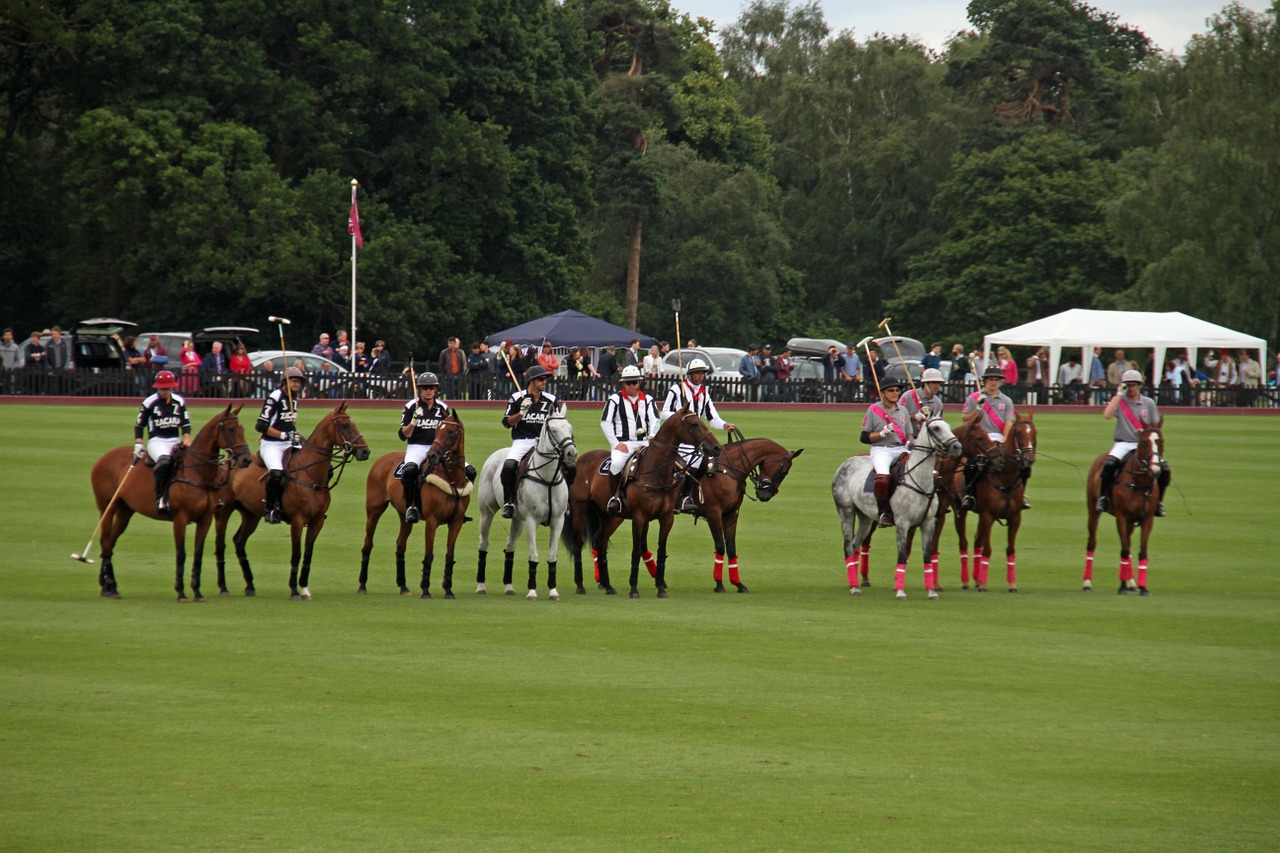 polo team competition free photo