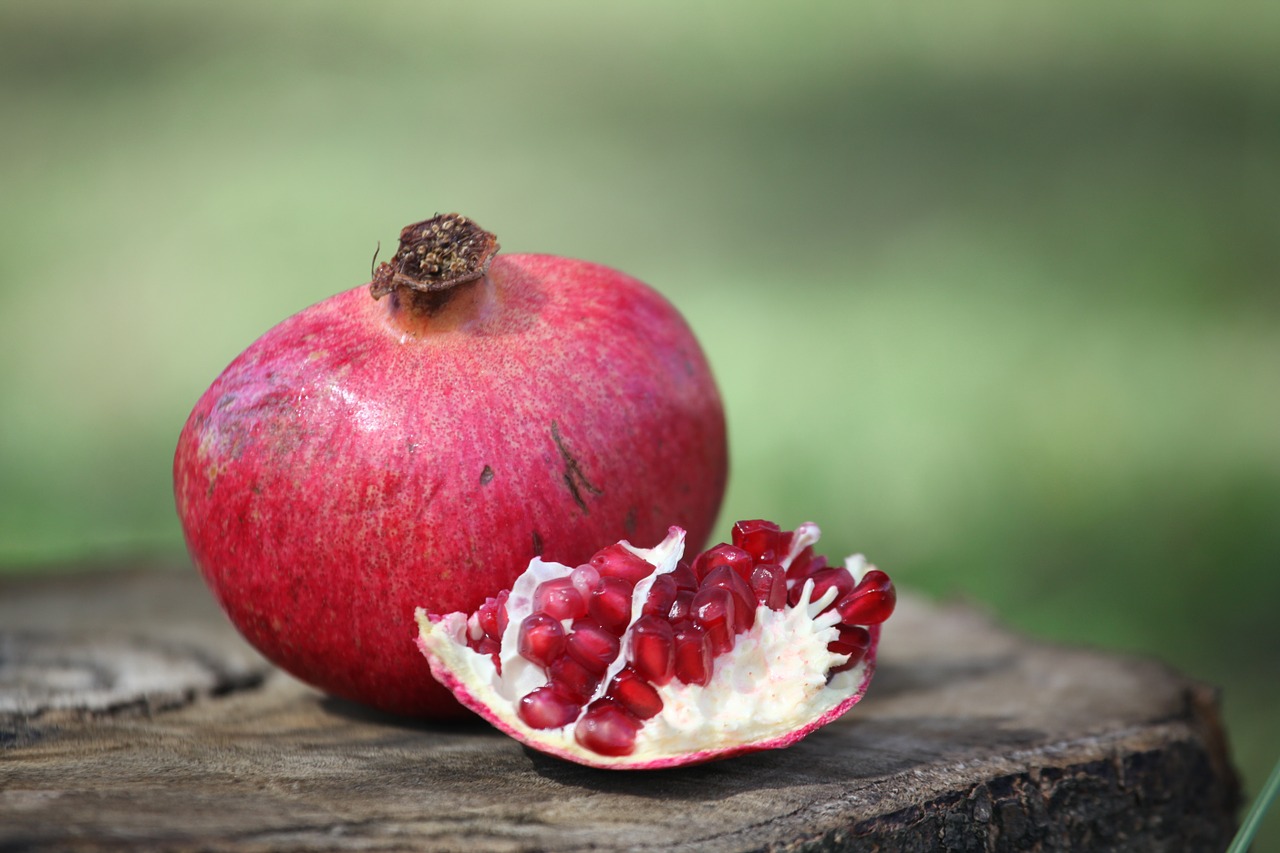 pomegranate fruit plant free photo