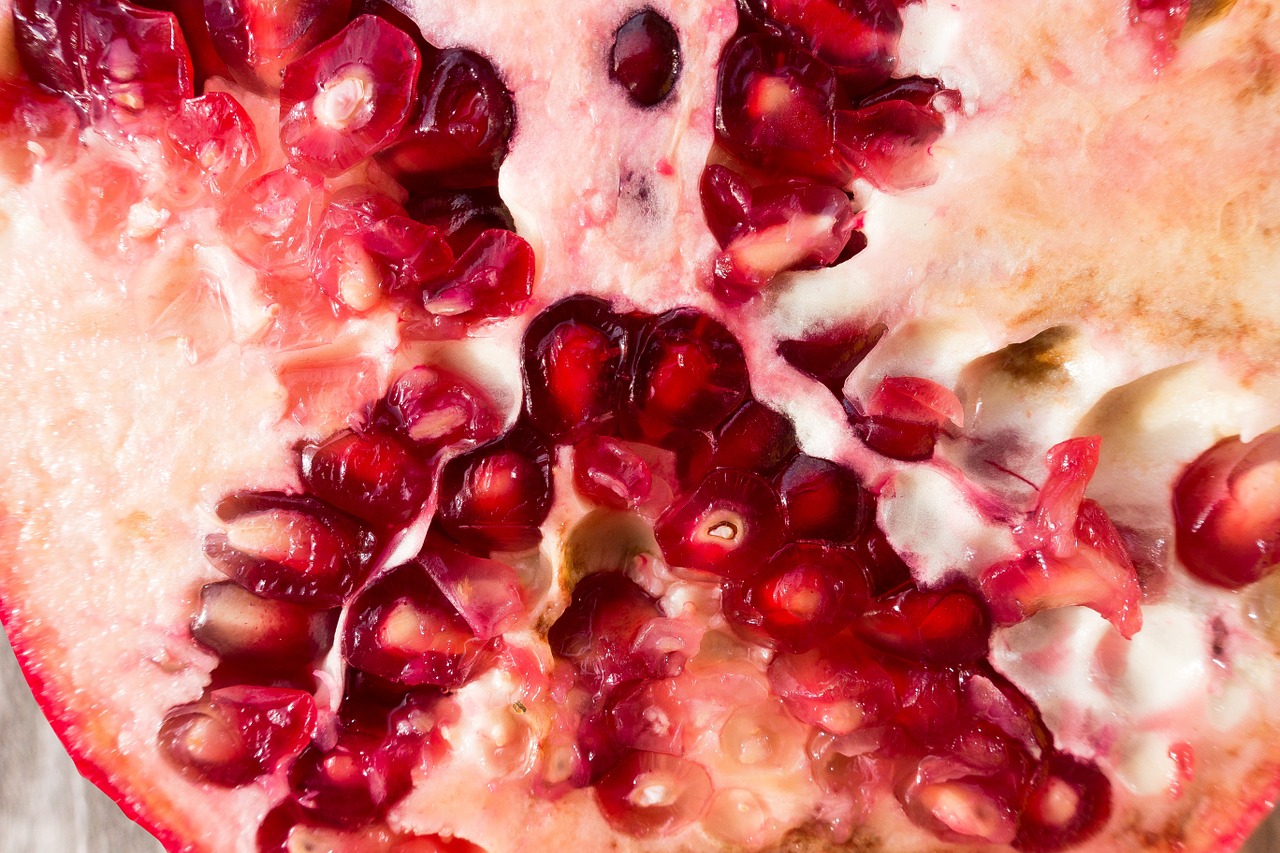 pomegranate red fruit free photo