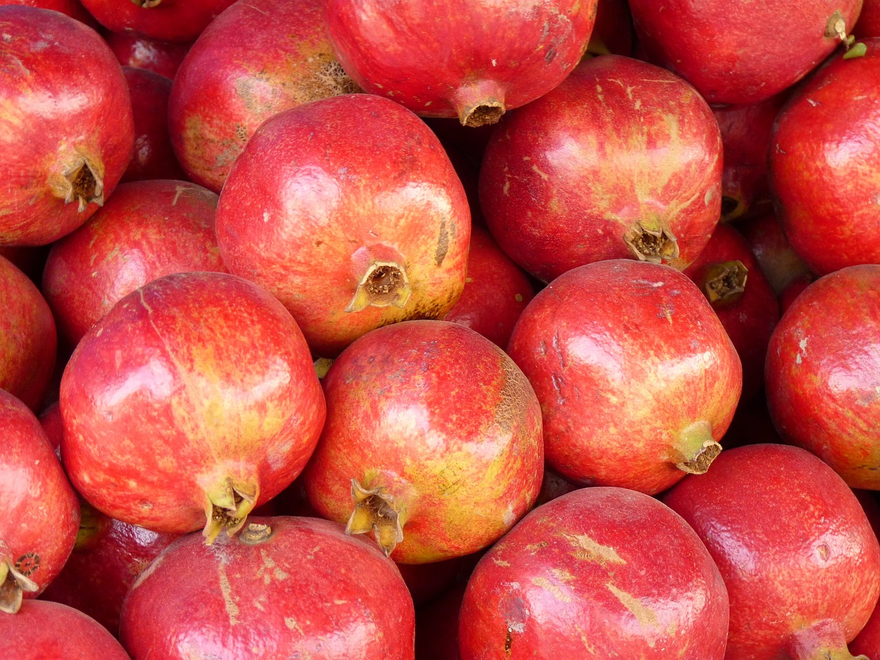 pomegranate red fruit free photo