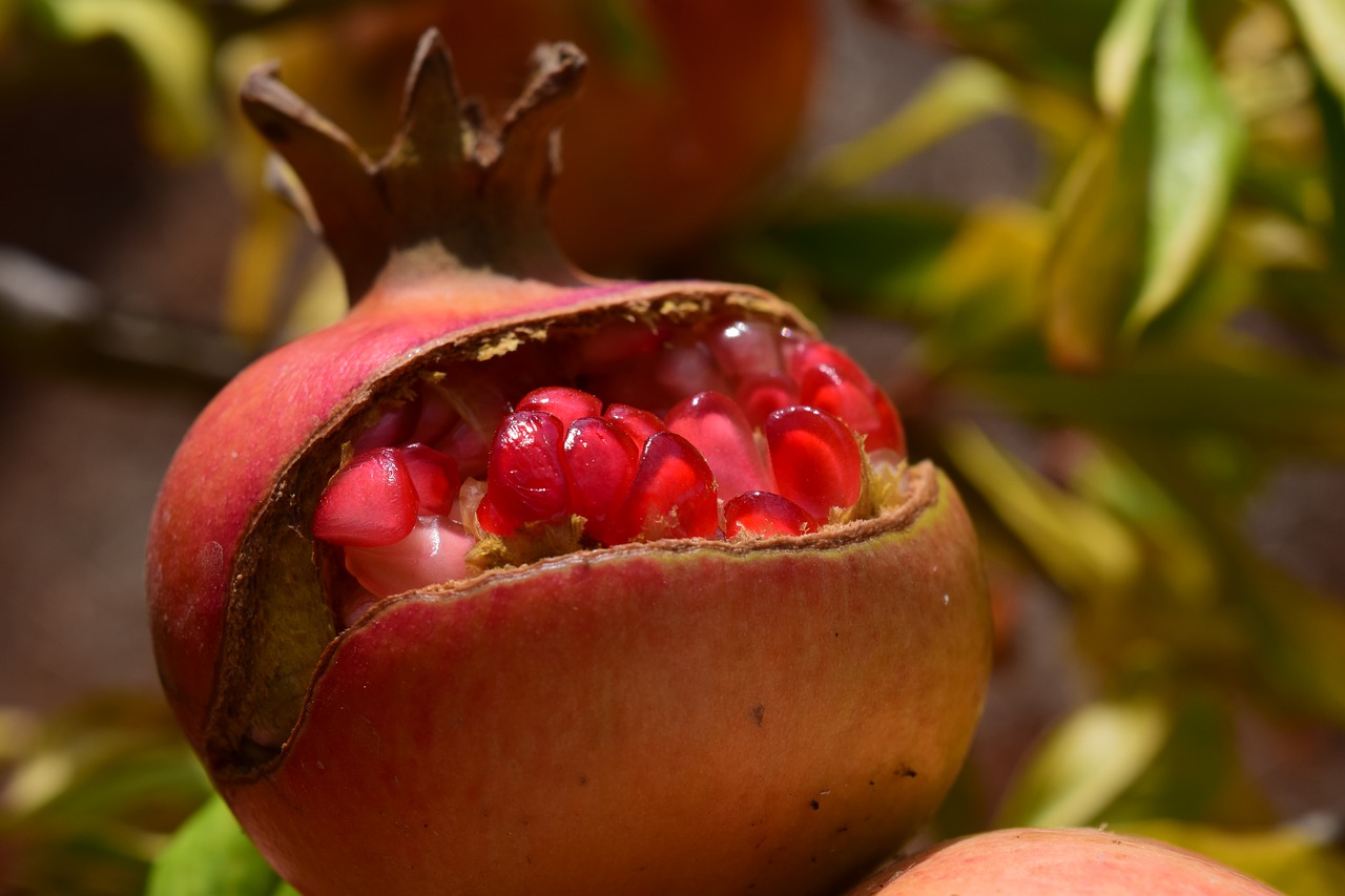 pomegranate sweet delicious free photo