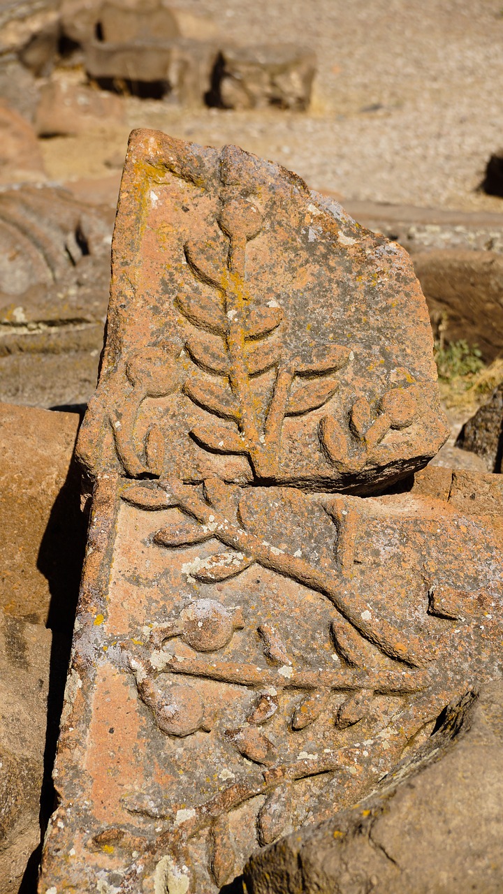 pomegranate national symbol free photo