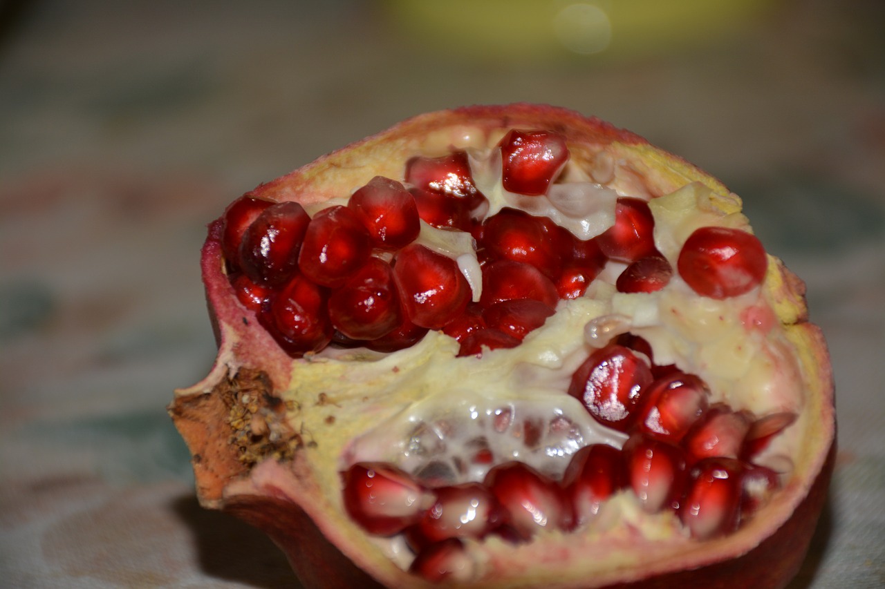 pomegranate red seeds free photo