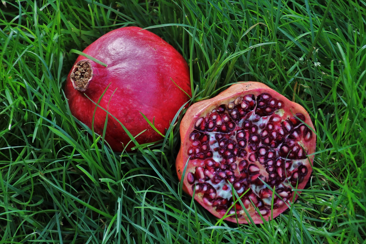 pomegranate  pips  fruit free photo