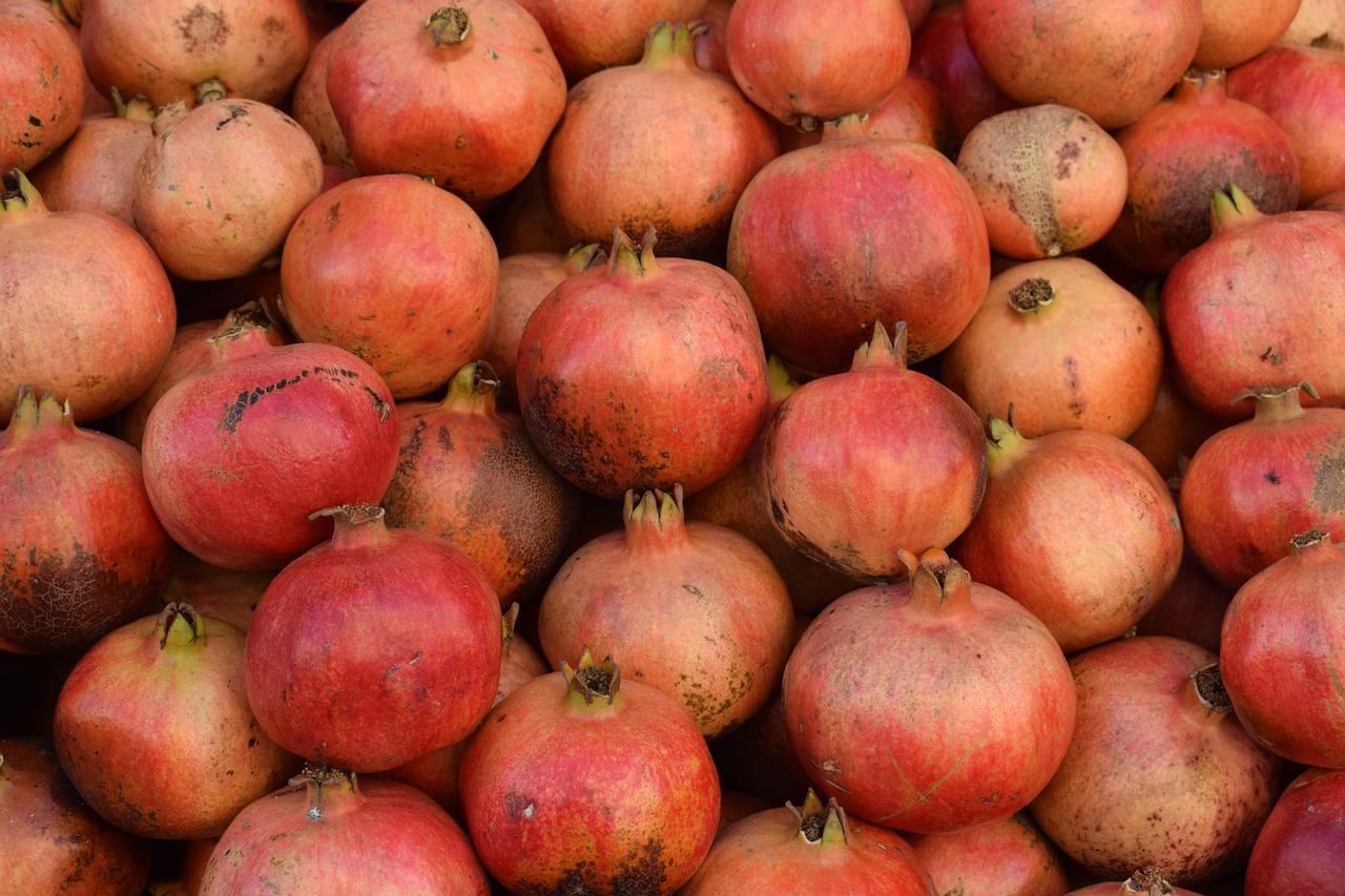 pomegranate  red  fruit free photo