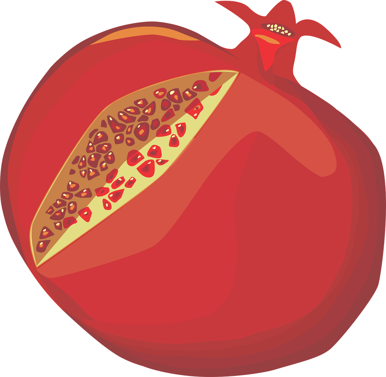 pomegranate  red  rimon free photo