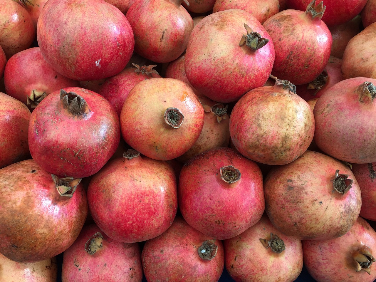 pomegranate fruit food free photo