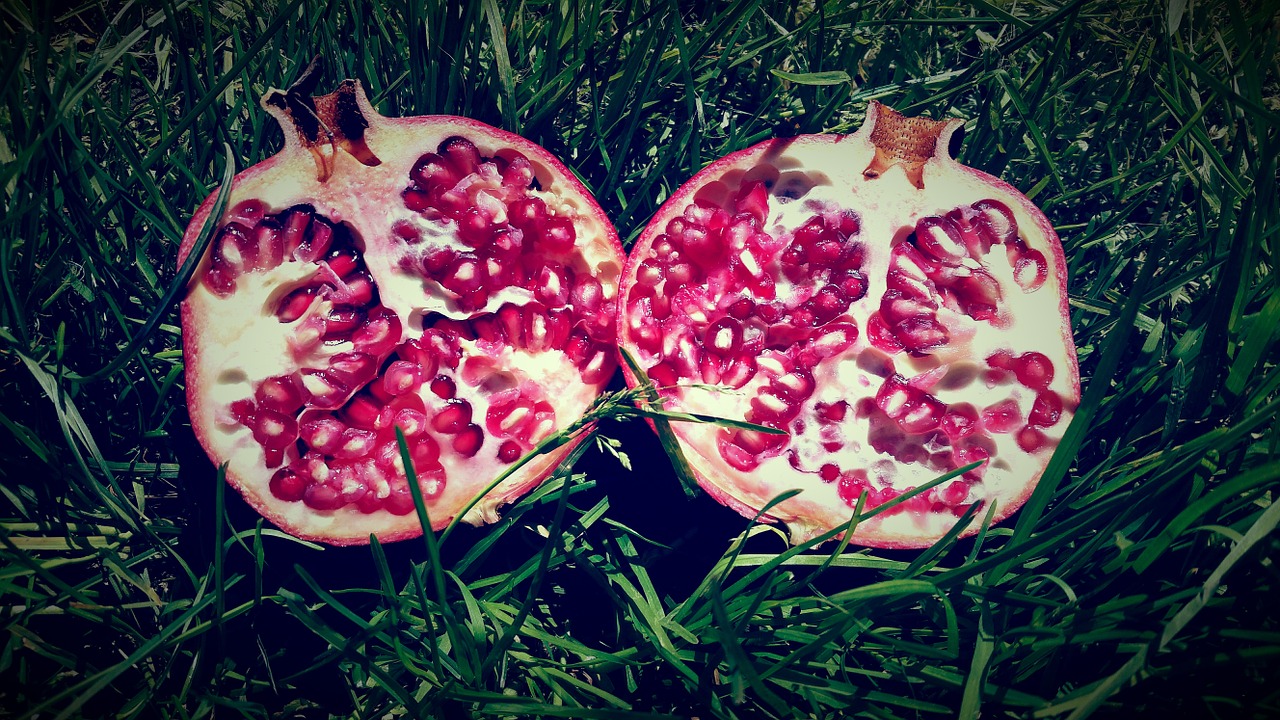 pomegranate fruit nature free photo