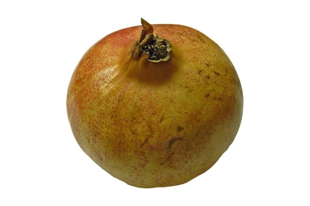 pomegranate punica granatum fruit free photo