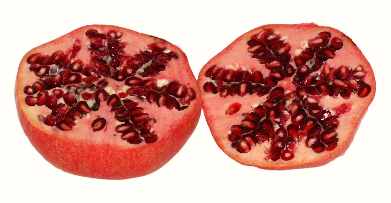 pomegranate punica granatum fruit free photo