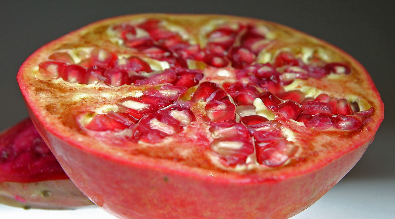 pomegranate fruit disc free photo