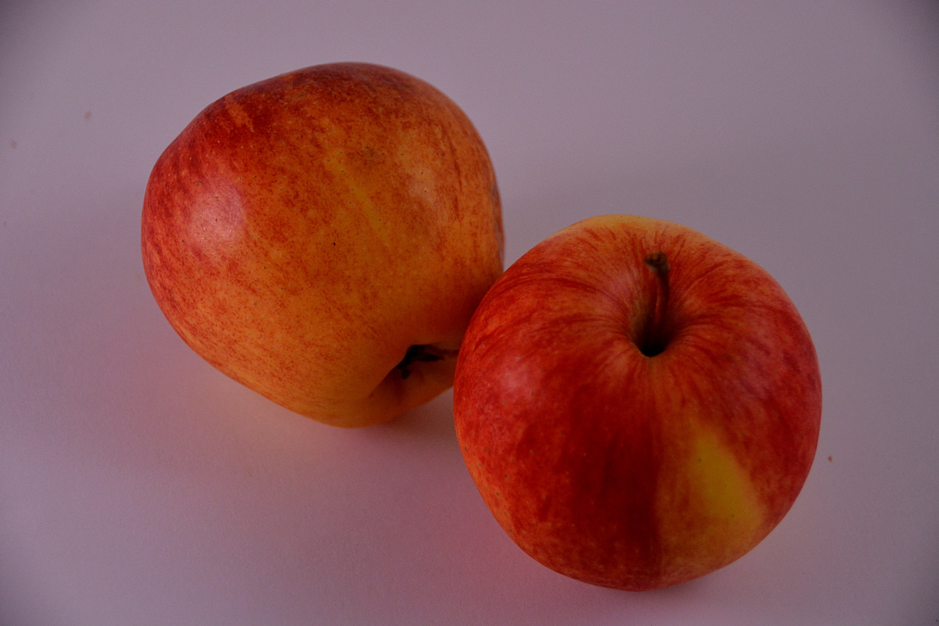 apples fruits autumn free photo