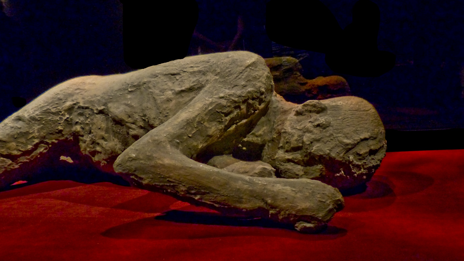 pompeii body ash free photo