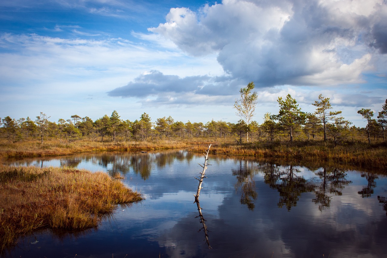 pond fall clouds free photo