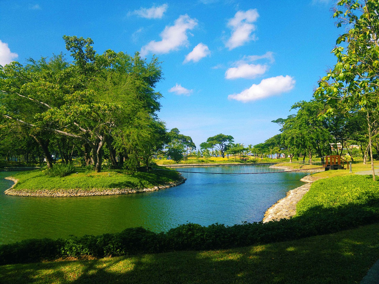 pond green hamilo coast free photo