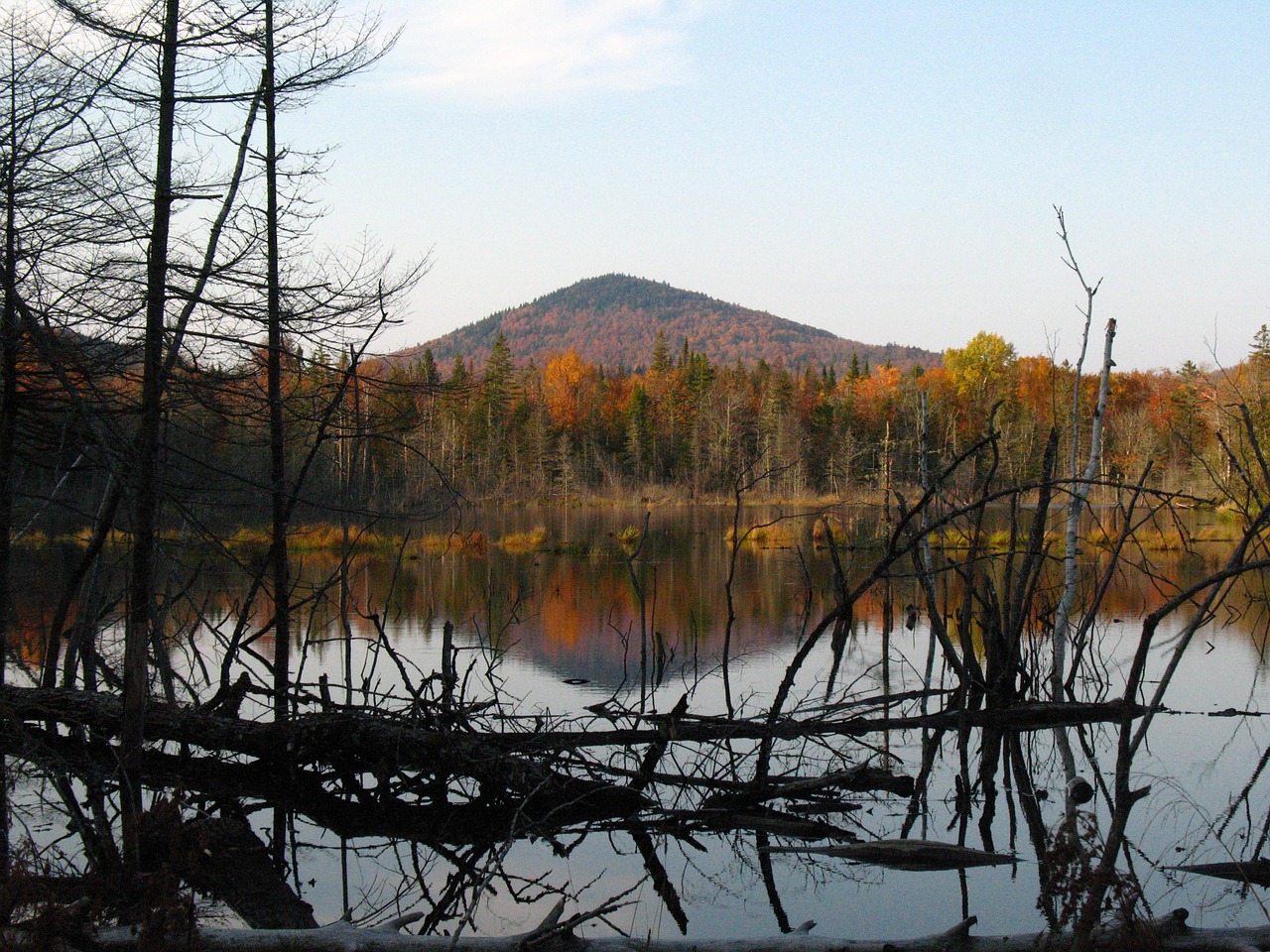 pond mountain autumn free photo