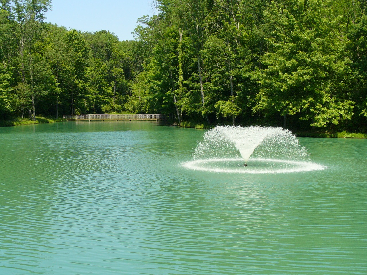 pond fountain water free photo