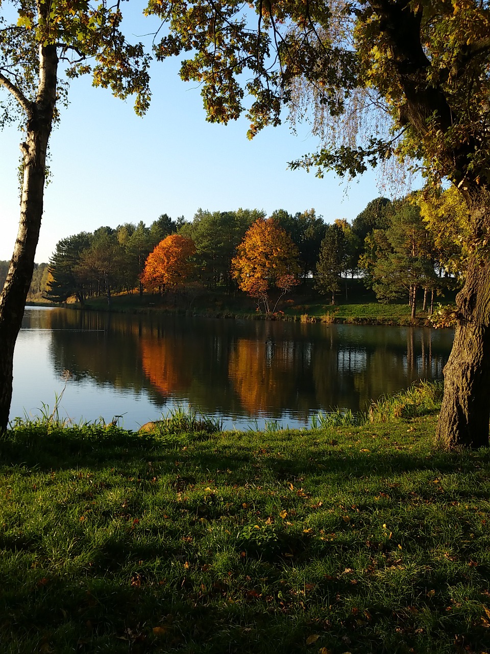 pond fall nature free photo