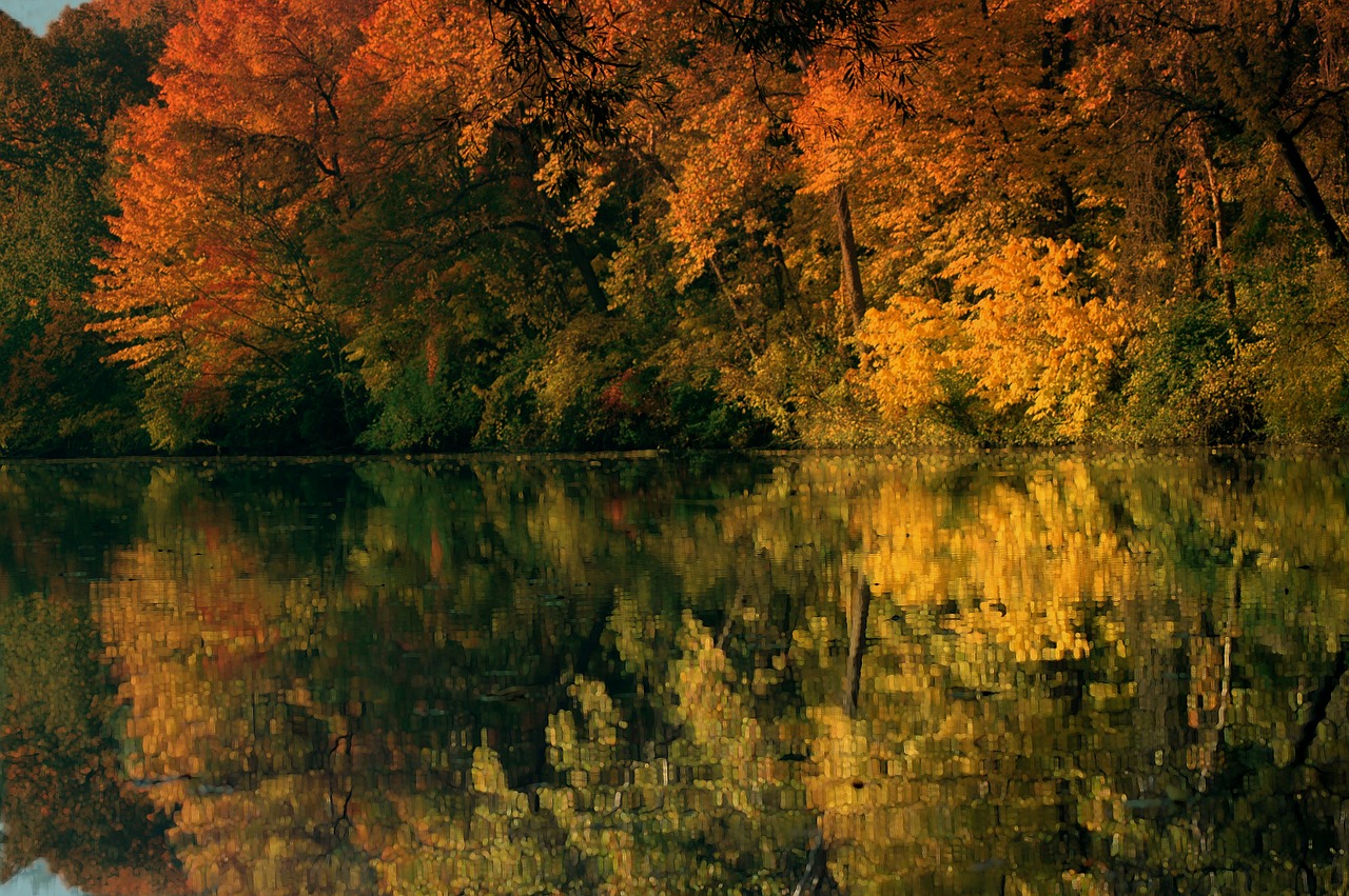 pond trees landscape free photo