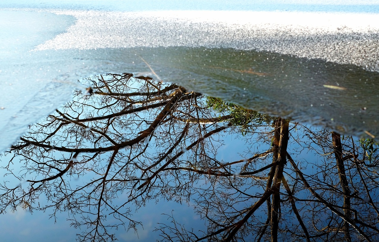 pond water frozen free photo