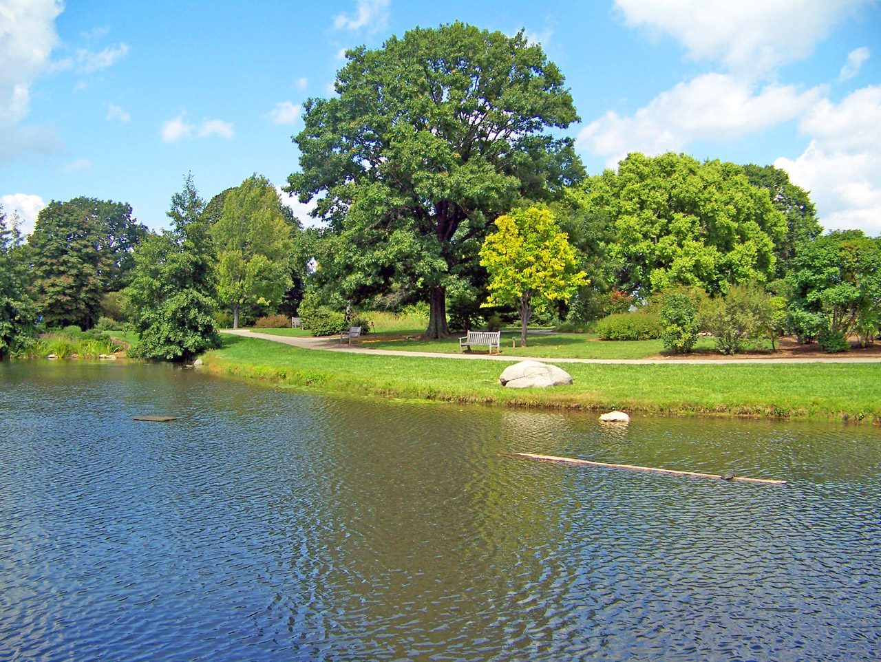 pond park trees free photo