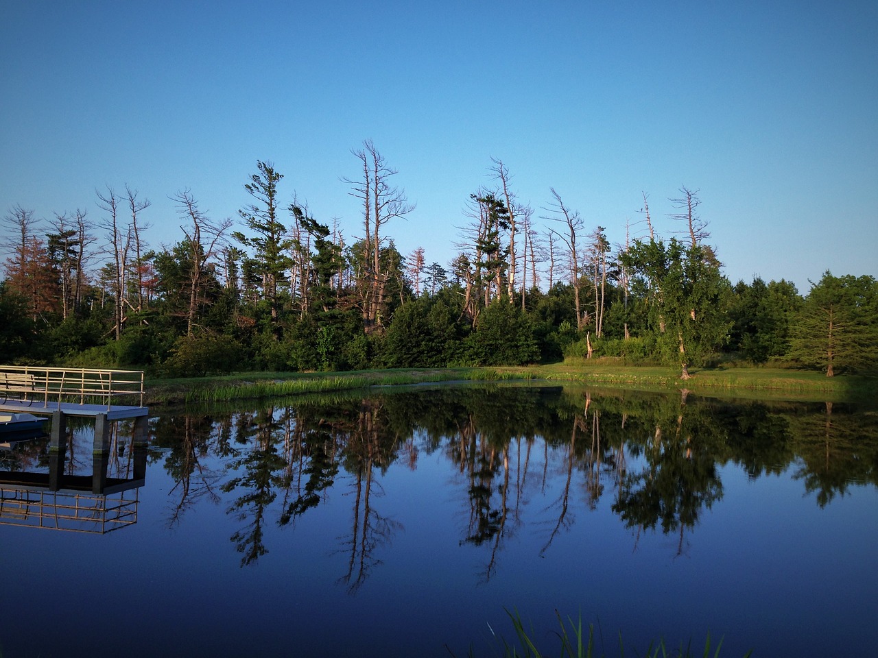 pond landscape nature free photo