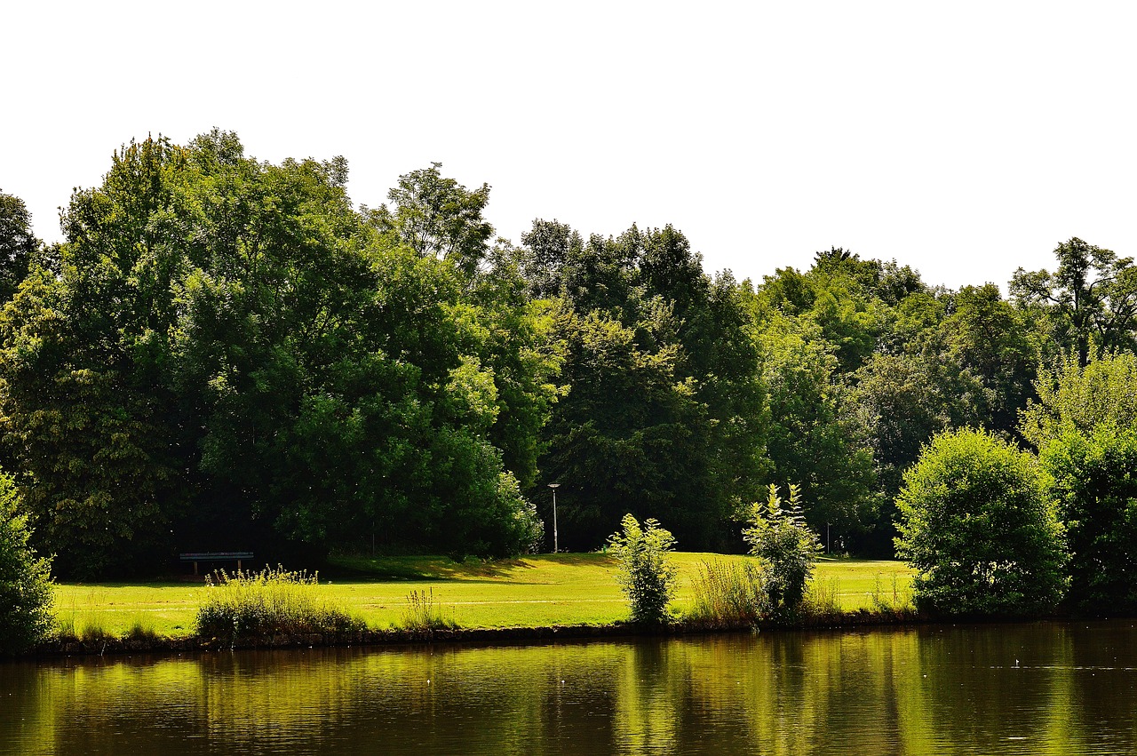 pond waters landscape free photo