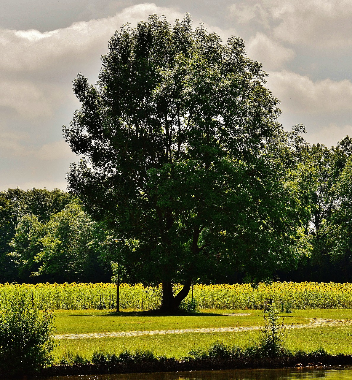 pond waters landscape free photo