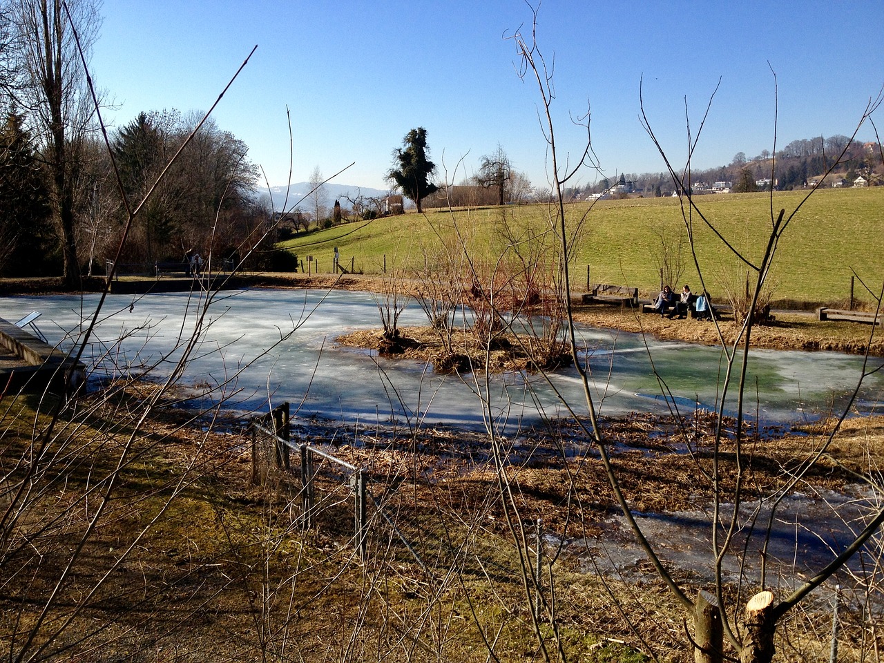 pond frozen winter free photo