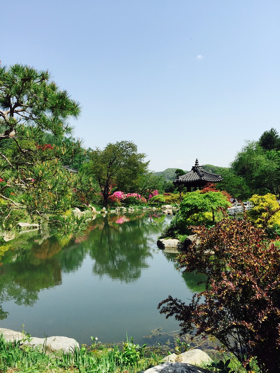 pond belvedere lake free photo